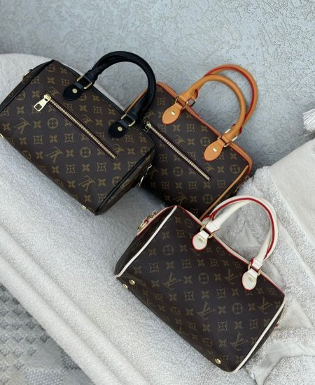 شنطة Louis Vuitton